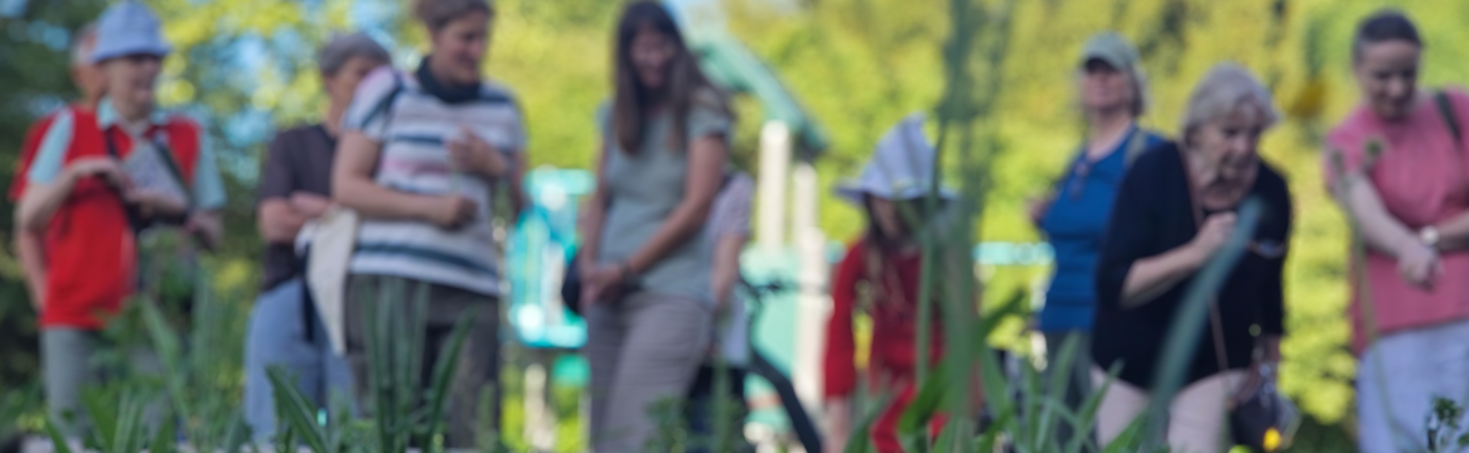 Klima-Tour Eimsbüttel: Spaziergang zur Anpassung an die Folgen des Klimawandels